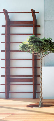 Akasa complementary products espalier